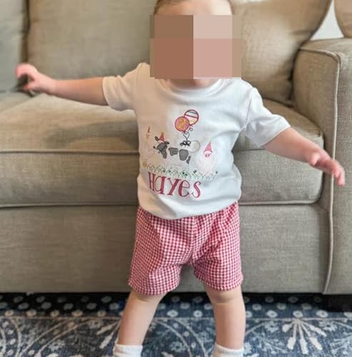 Gingham Plaid Toddler Shorts - Trendy Comfortable